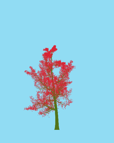 Treee