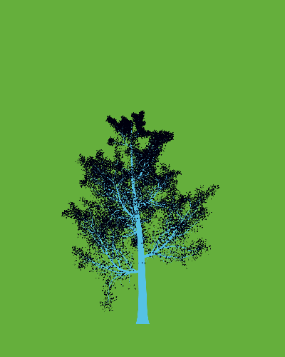 Treee