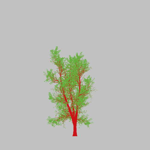 Treee