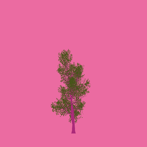 Treee