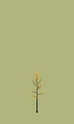 Treee