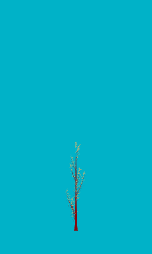 Treee