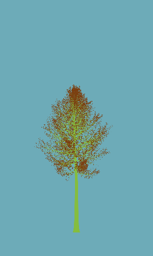 Treee