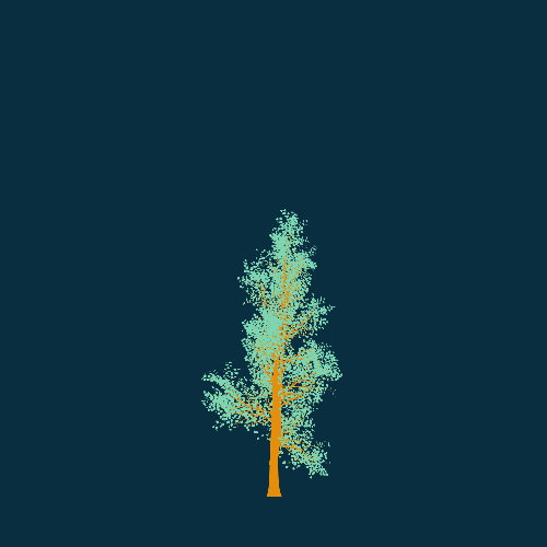 Treee
