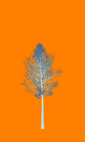 Treee