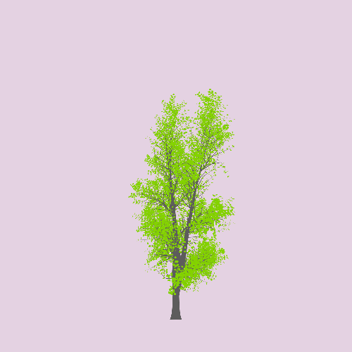 Treee