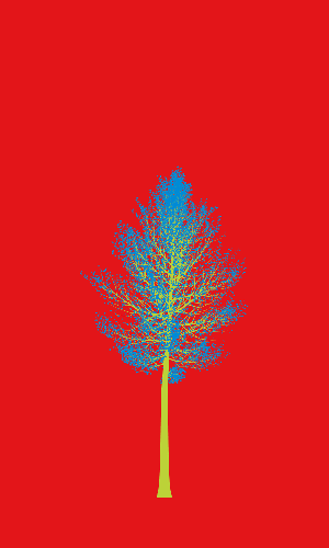 Treee