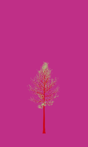 Treee