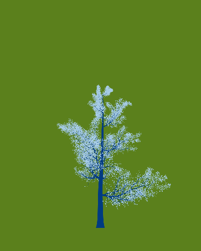 Treee