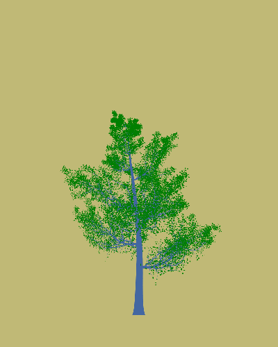 Treee