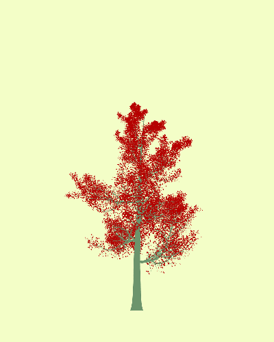 Treee