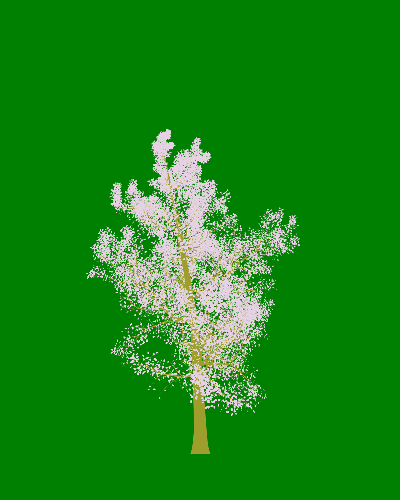 Treee