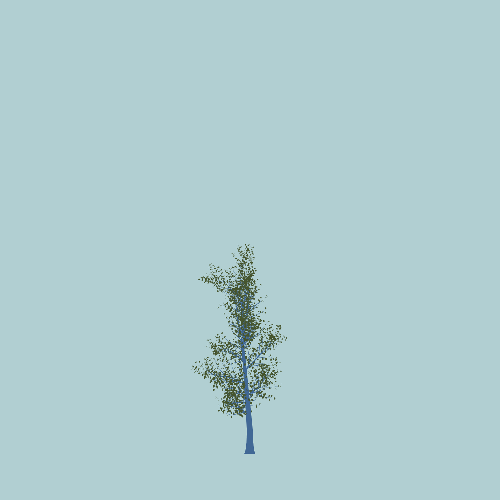 Treee