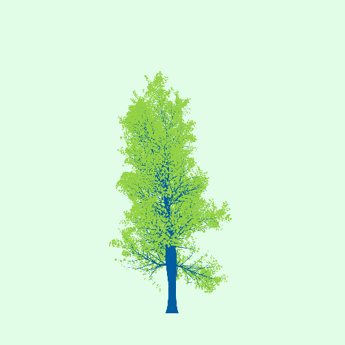 Treee