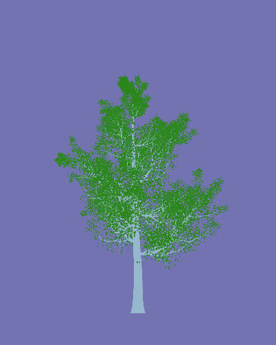 Treee