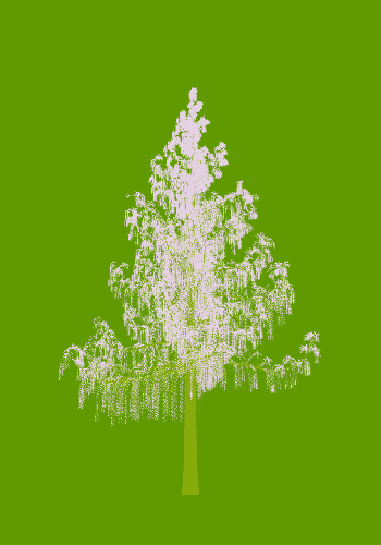 Treee