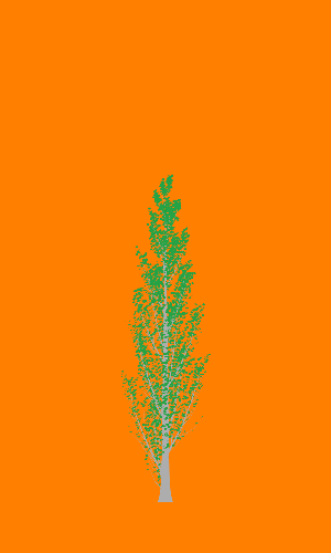 Treee