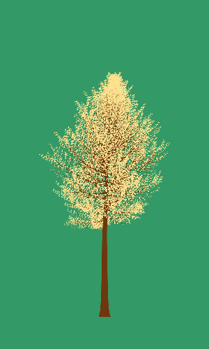Treee