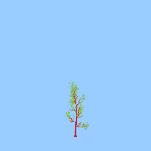 Treee