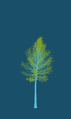 Treee