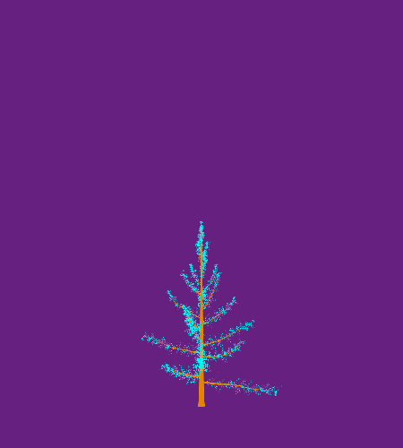 Treee