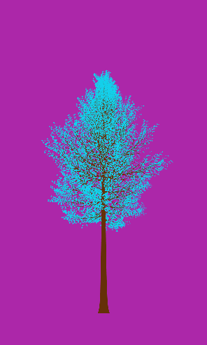 Treee