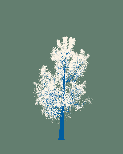 Treee
