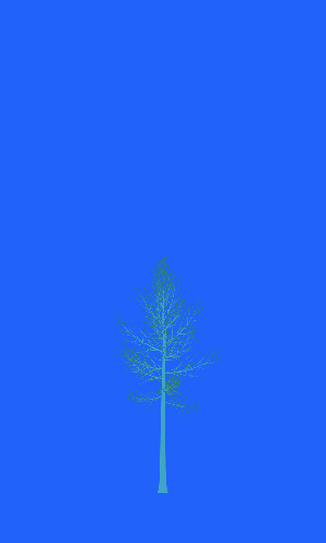 Treee