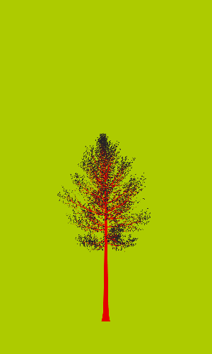 Treee