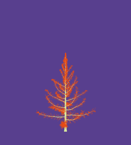 Treee