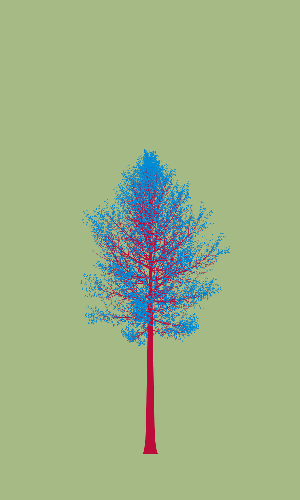 Treee