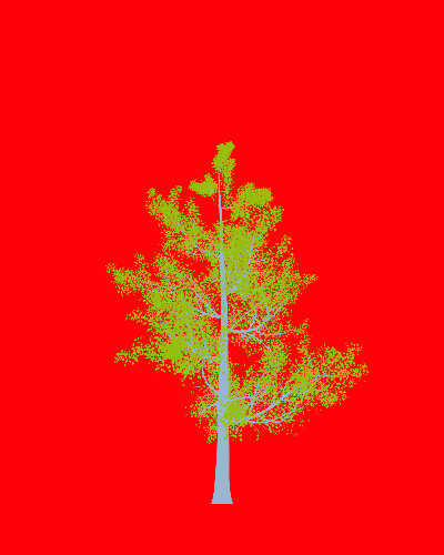 Treee