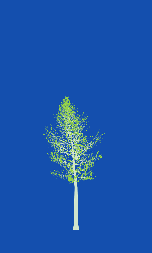 Treee