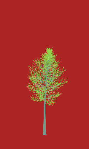 Treee