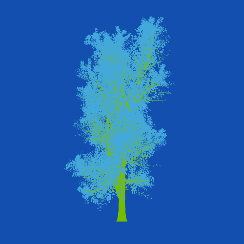 Treee