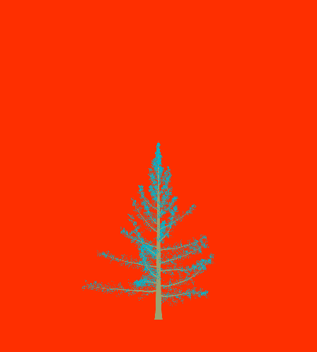 Treee