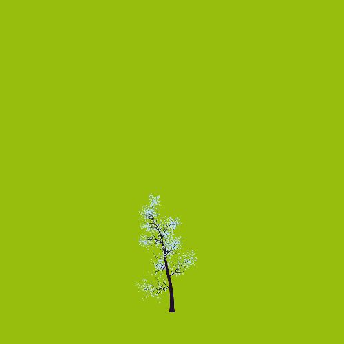 Treee