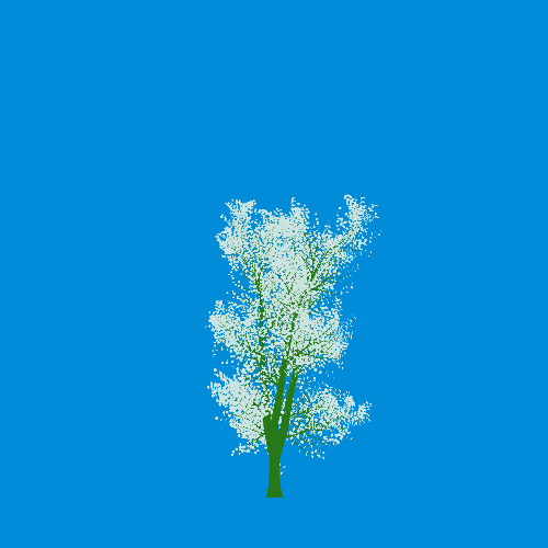 Treee