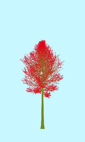 Treee