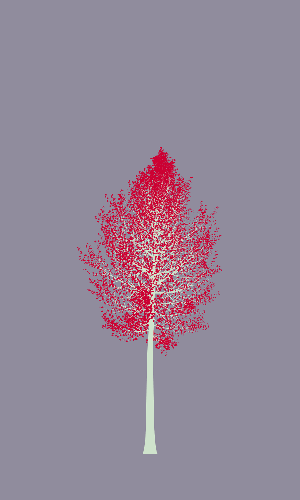 Treee