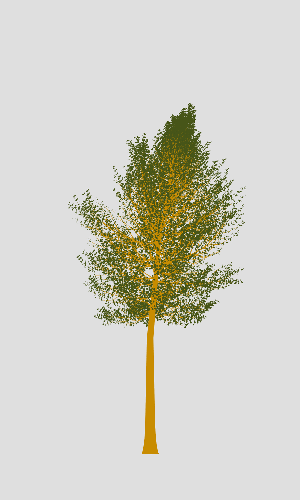 Treee