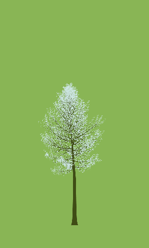 Treee