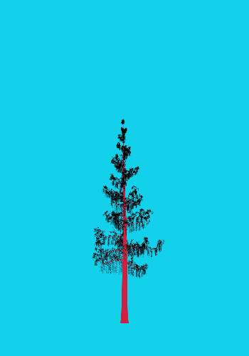 Treee
