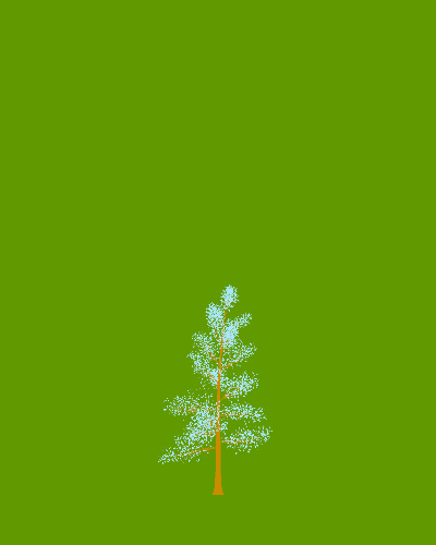 Treee