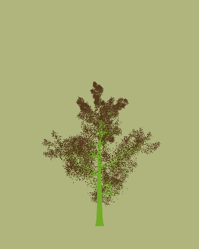 Treee