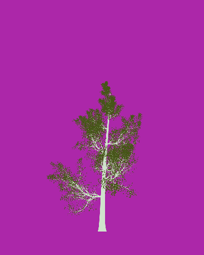 Treee