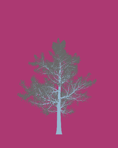 Treee