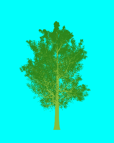 Treee