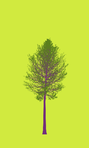 Treee