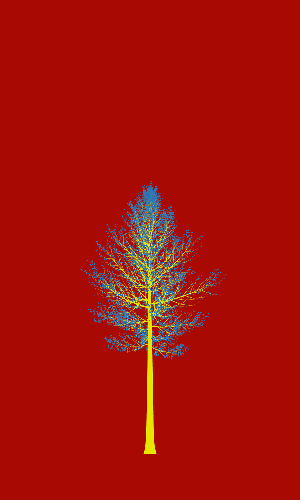 Treee